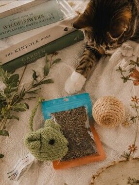 4/$15 Catnip Toy Bundle W/ Green Knit Mouse and Natural Sisal Ball Natural Home